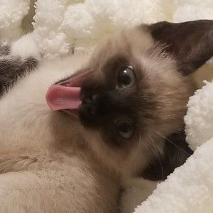 Selling A Little Of Everything!